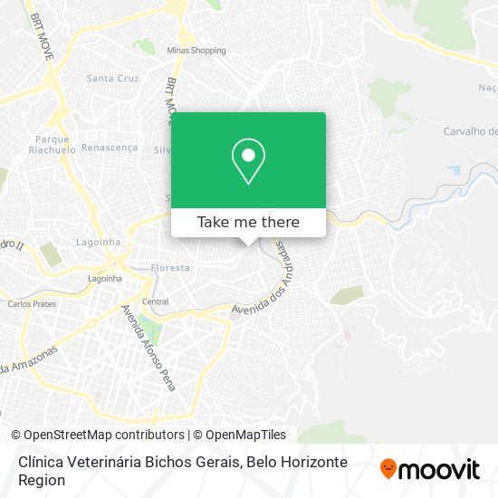 Mapa Clínica Veterinária Bichos Gerais