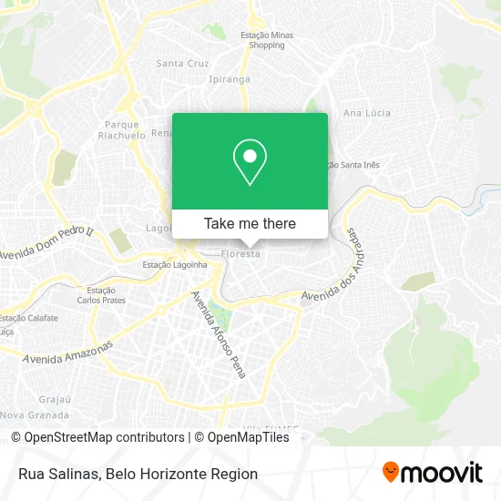 Rua Salinas map