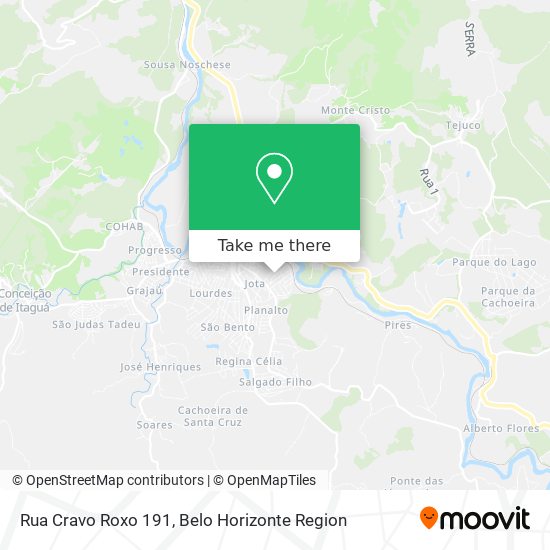 Rua Cravo Roxo 191 map