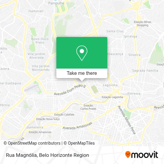 Rua Magnólia map