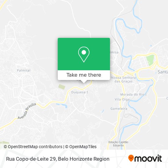 Rua Copo-de-Leite 29 map