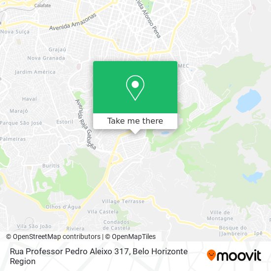 Rua Professor Pedro Aleixo 317 map