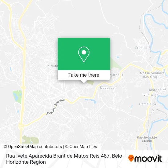 Rua Ivete Aparecida Brant de Matos Reis 487 map