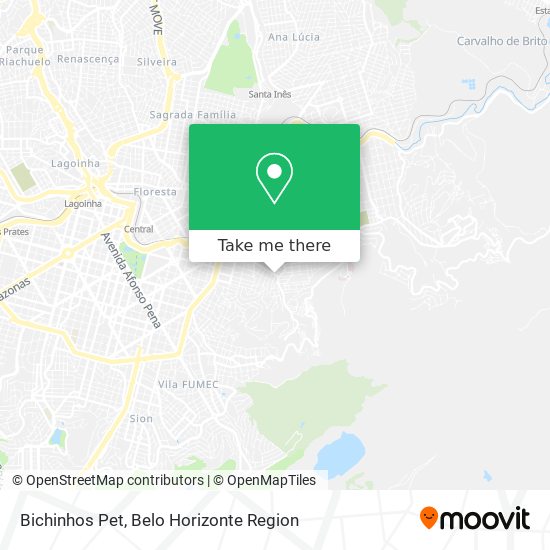 Bichinhos Pet map