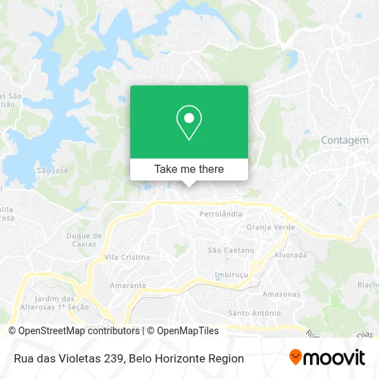 Rua das Violetas 239 map