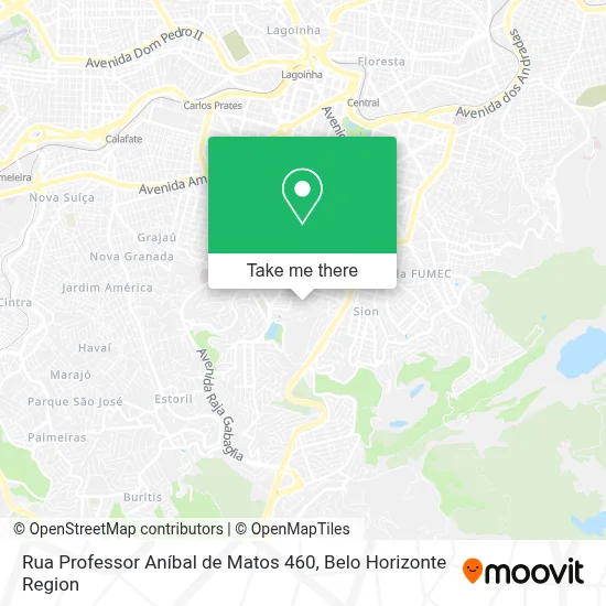 Rua Professor Aníbal de Matos 460 map