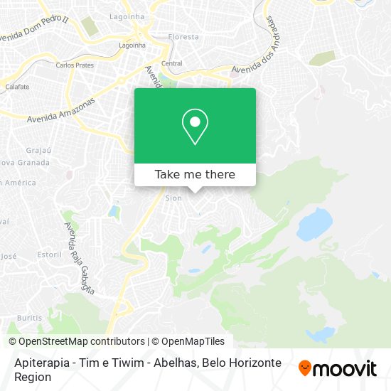 Apiterapia - Tim  e Tiwim - Abelhas map