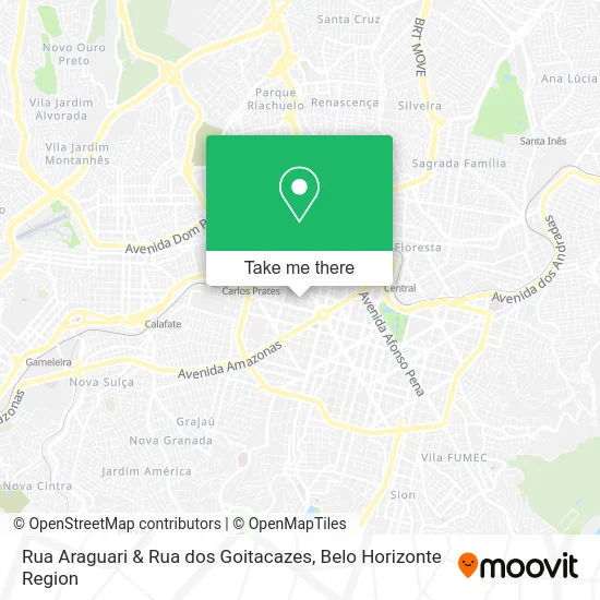 Rua Araguari & Rua dos Goitacazes map