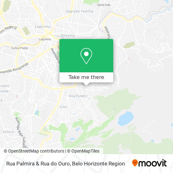 Rua Palmira & Rua do Ouro map