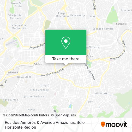 Rua dos Aimorés & Avenida Amazonas map