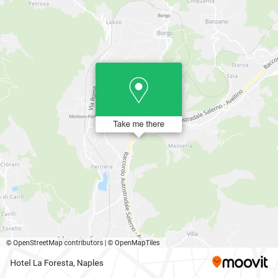 Hotel La Foresta map