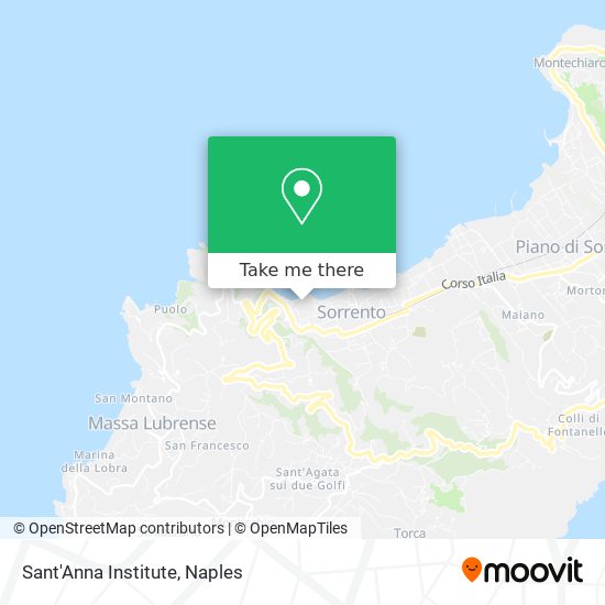 Sant'Anna Institute map