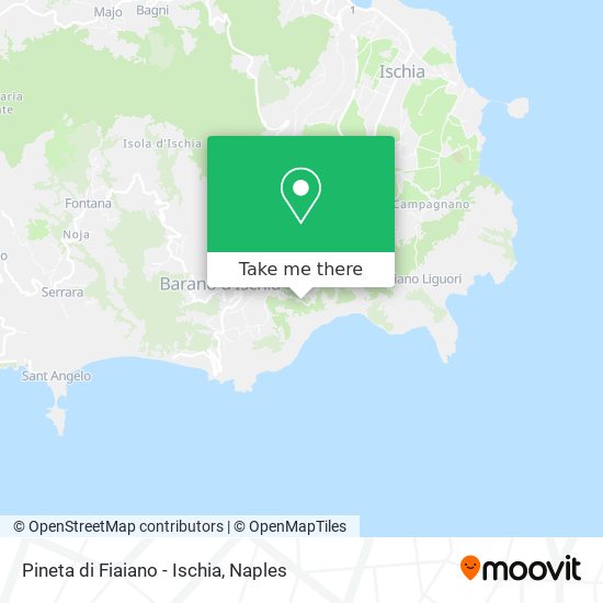Pineta di Fiaiano - Ischia map
