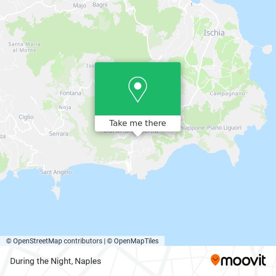During the Night map