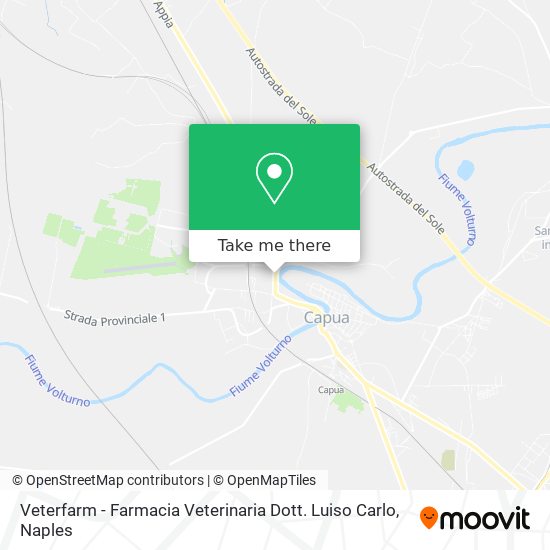 Veterfarm - Farmacia Veterinaria Dott. Luiso Carlo map