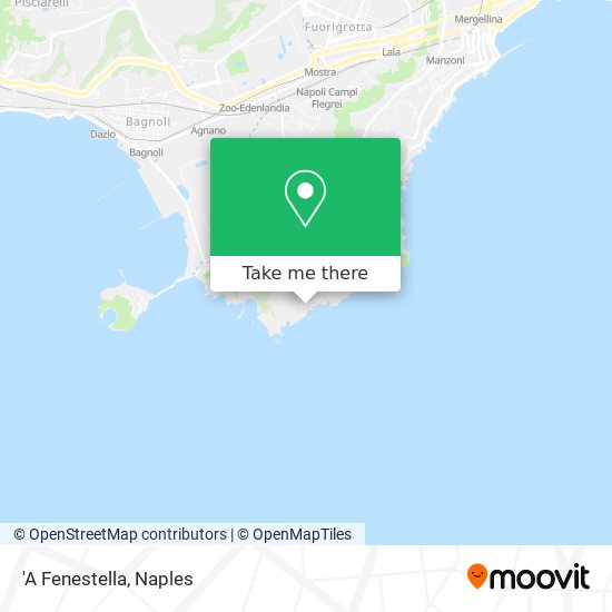 'A Fenestella map