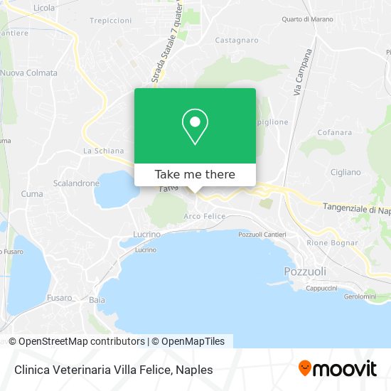 Clinica Veterinaria Villa Felice map