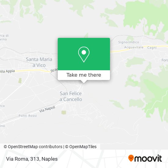 Via Roma, 313 map