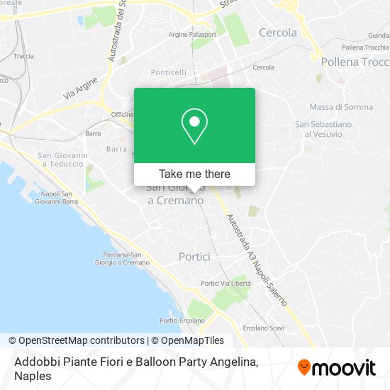 Addobbi Piante Fiori e Balloon Party Angelina map