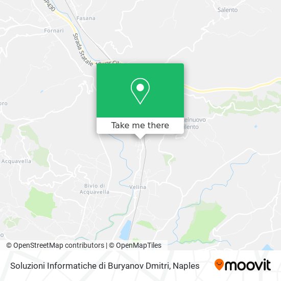 Soluzioni Informatiche di Buryanov Dmitri map