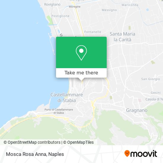 Mosca Rosa Anna map