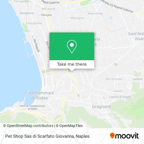 Pet Shop Sas di Scarfato Giovanna map