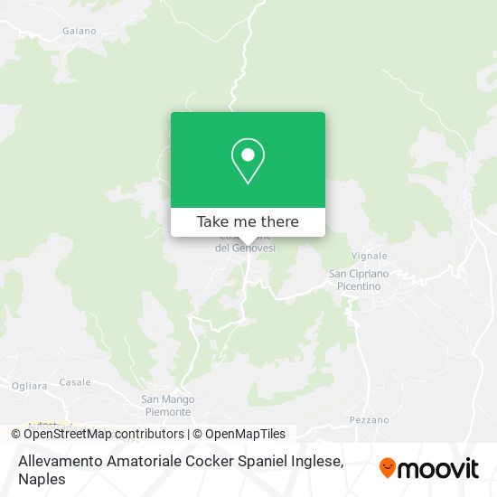 Allevamento Amatoriale Cocker Spaniel Inglese map