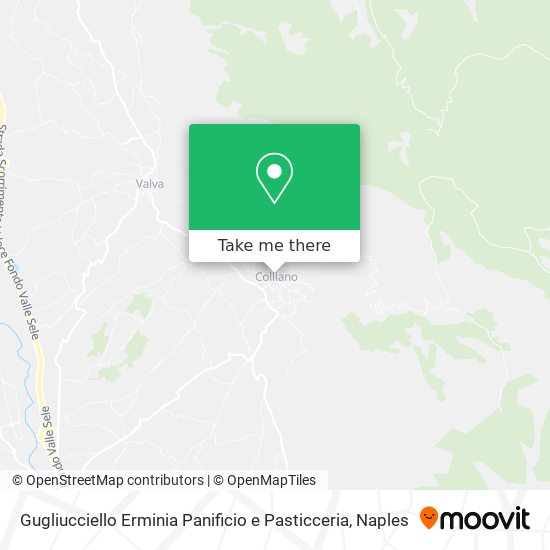 Gugliucciello Erminia Panificio e Pasticceria map