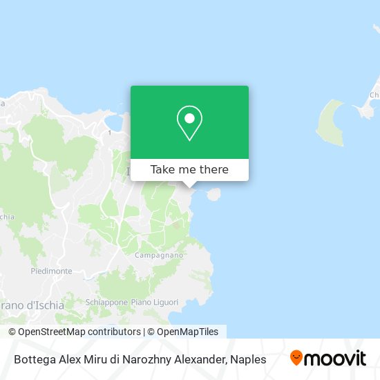 Bottega Alex Miru di Narozhny Alexander map
