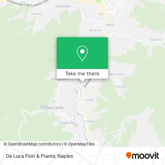 De Luca Fiori & Piante map
