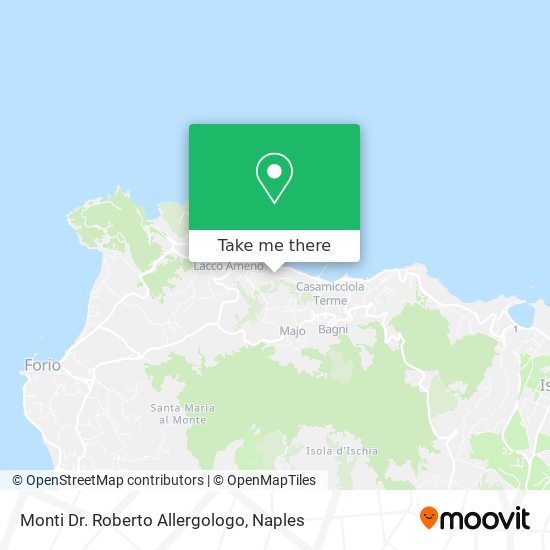 Monti Dr. Roberto Allergologo map