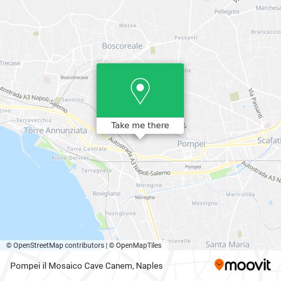 Pompei il Mosaico Cave Canem map