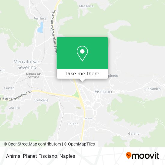 Animal Planet Fisciano map