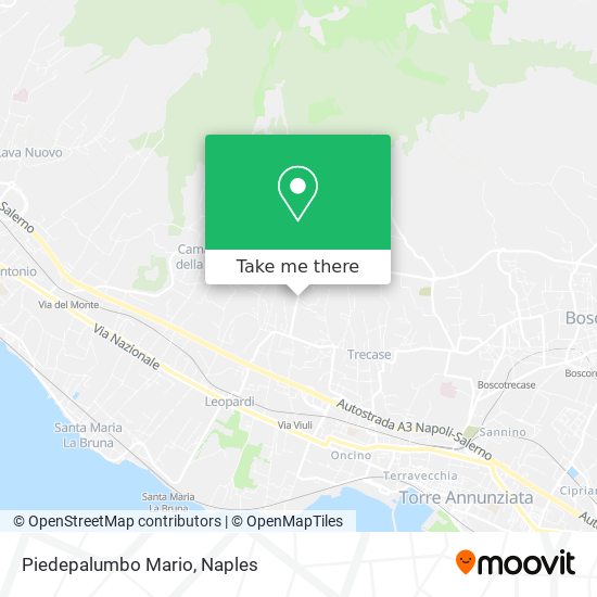 Piedepalumbo Mario map