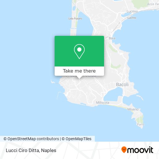 Lucci Ciro Ditta map