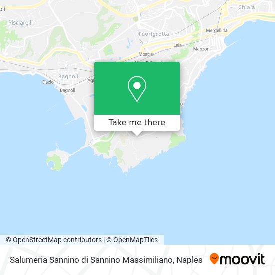Salumeria Sannino di Sannino Massimiliano map
