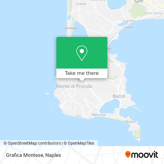 Grafica Montese map