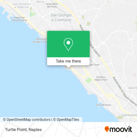Turtle Point map