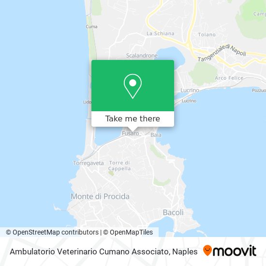 Ambulatorio Veterinario Cumano Associato map