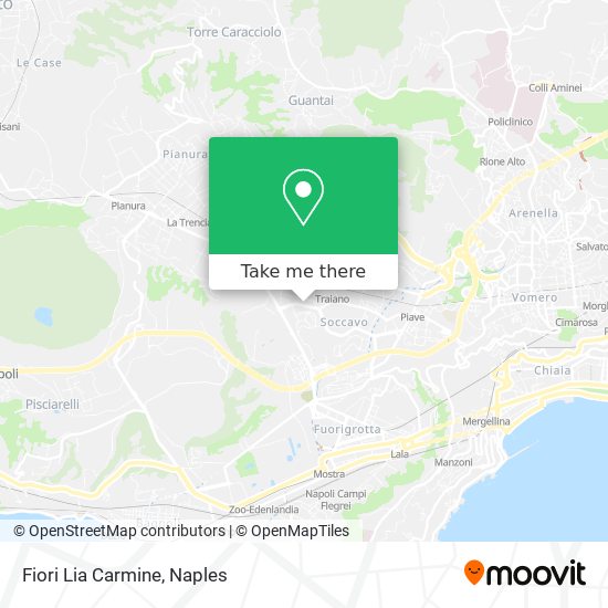 Fiori Lia Carmine map