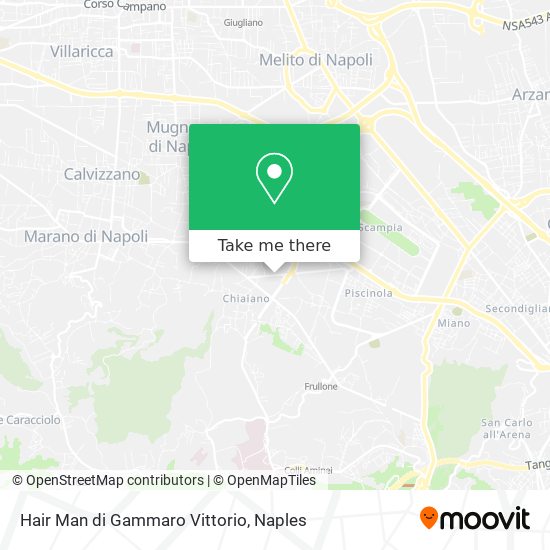 Hair Man di Gammaro Vittorio map