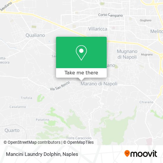 Mancini Laundry Dolphin map