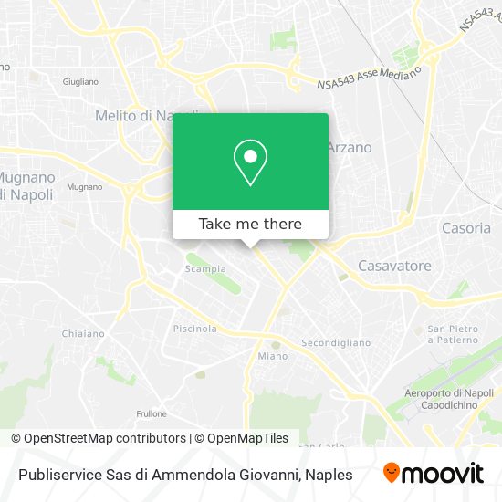 Publiservice Sas di Ammendola Giovanni map