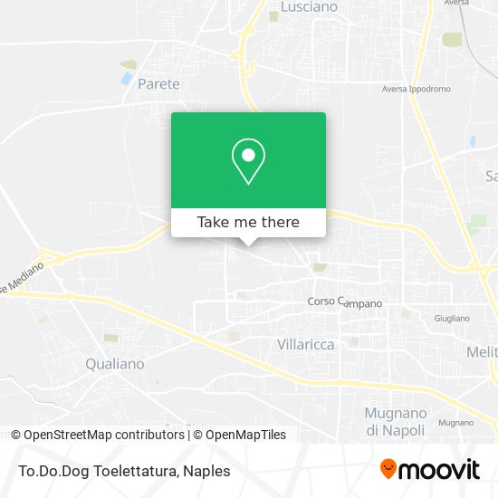 To.Do.Dog Toelettatura map