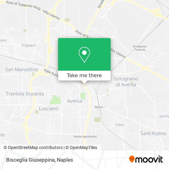 Bisceglia Giuseppina map