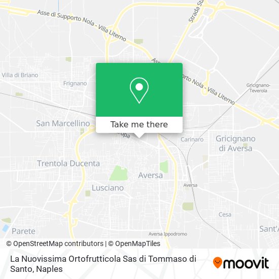 La Nuovissima Ortofrutticola Sas di Tommaso di Santo map