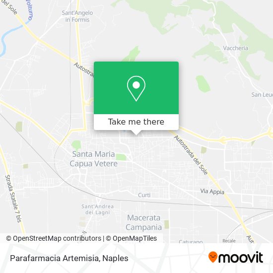 Parafarmacia Artemisia map