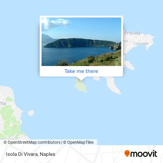 Isola Di Vivara map