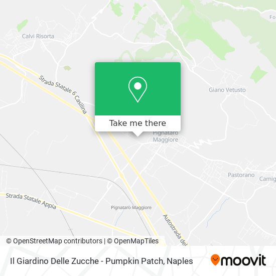 Il Giardino Delle Zucche - Pumpkin Patch map