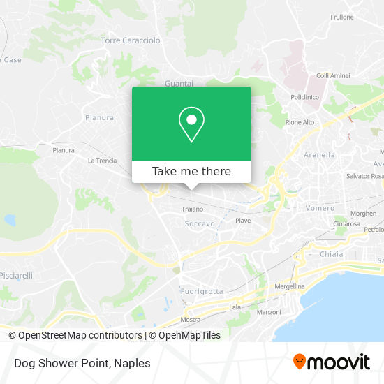 Dog Shower Point map